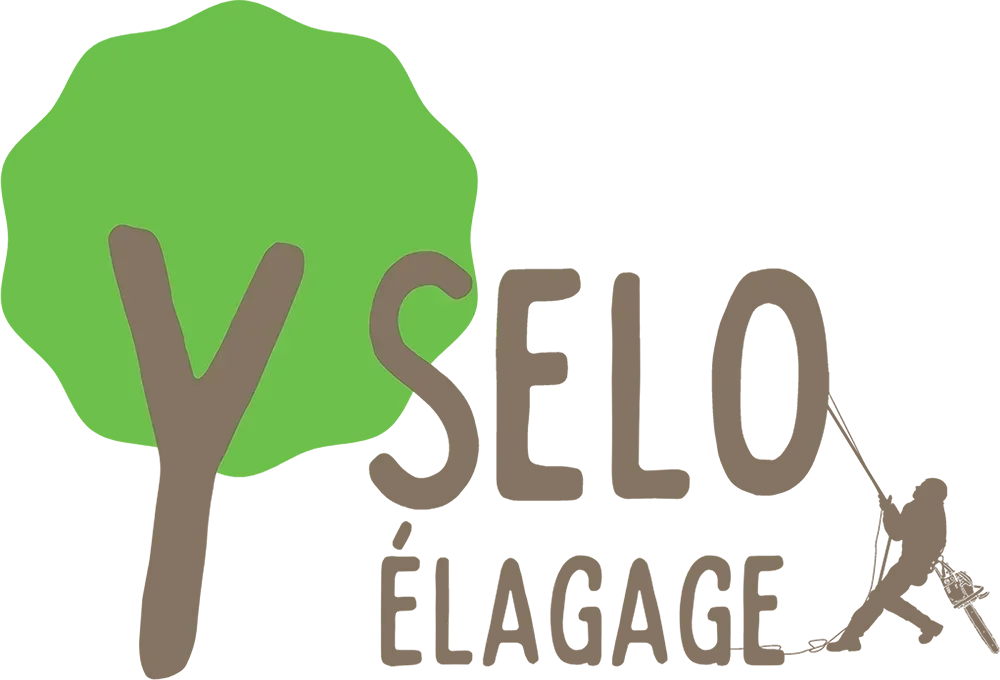Logo Selo Elagage Bruz Ploermel La Gacilly