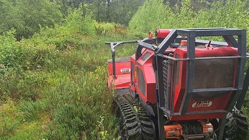 Debrousaillage dun etang La Chapelle Bouexic