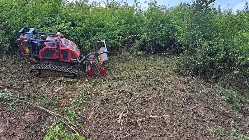 Entretien dun etang La Chapelle Bouexic apres