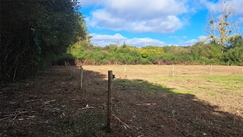 Ouverture dune parcelle pour chevaux