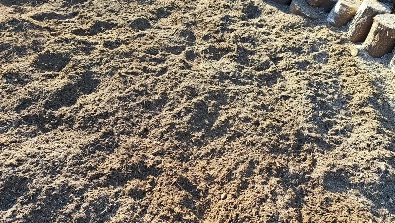 Rognage de souche apres