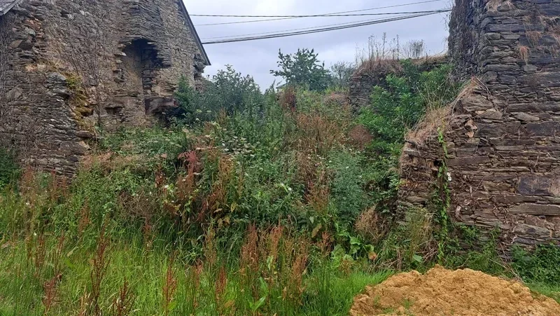 chantier debroussaillage manuel avant