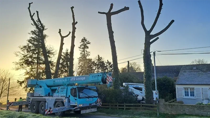 chantier elagage bretagne elageuru grimpeur selo