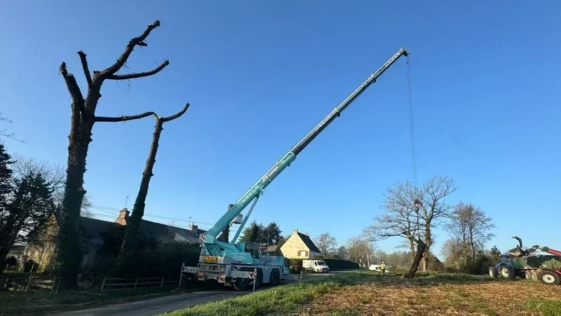 chantier elagage bretagne elagueur grimpeur selo pontivy vannes lorien pploermel baud