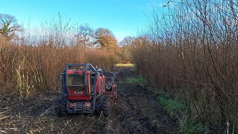 debroussaillage grande parcelle 3