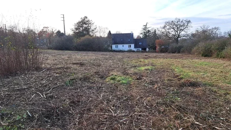 debroussaillage grande parcelle 4