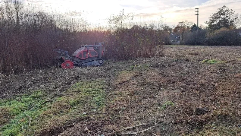 debroussaillage grande parcelle 5 