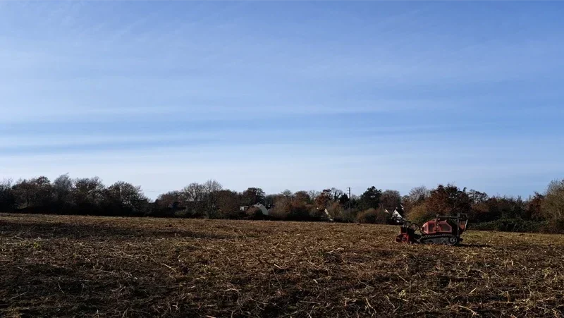 debroussaillage grande parcelle 6 