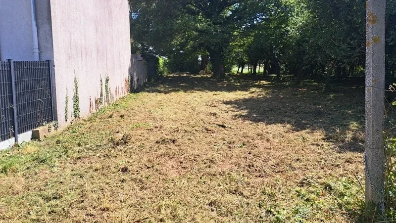 entretien dun verger debrousaillage apres