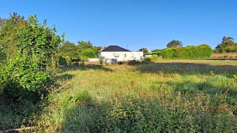 entretien terrain avant