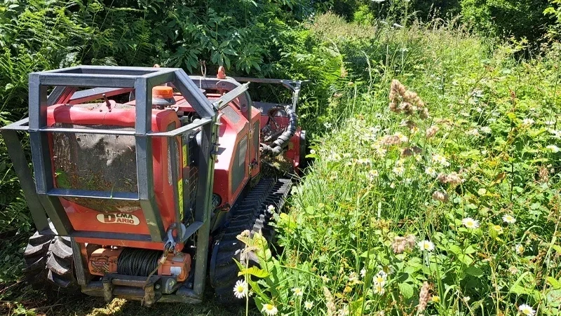 entretien dun verger debrousaillage avant
