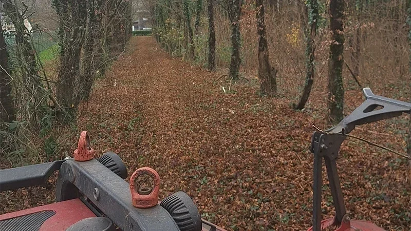 nettoyage dun bois bovel