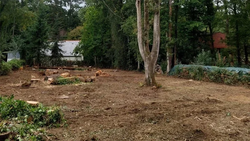 ouverture dun terrain Les brulais apres