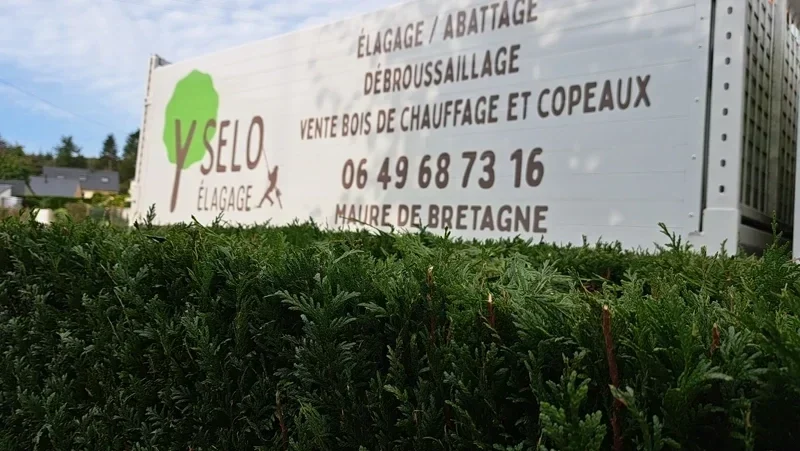 taille de haies baulon