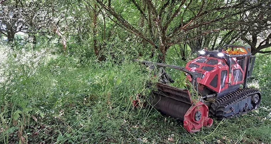 broyage de landes pruneliers saules SELO Elagage