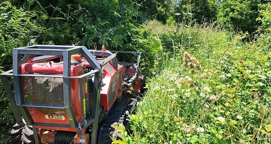 debrousaillage en zone humide marais etangs SELO Elagage