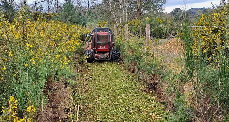 entretien terrain risques incendie SELO Elagage