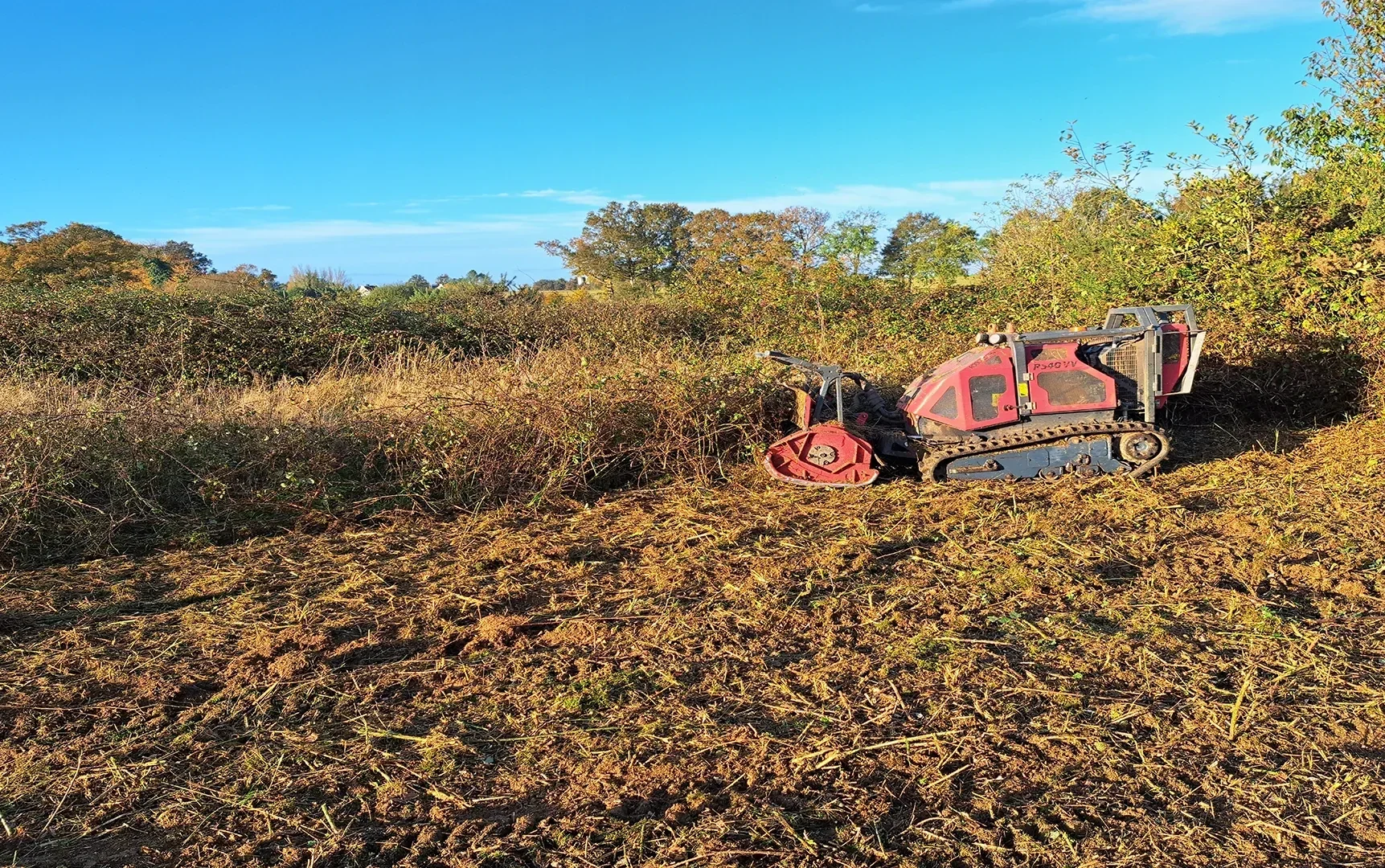 machine de debrousaillement SELO Elagage paysagiste