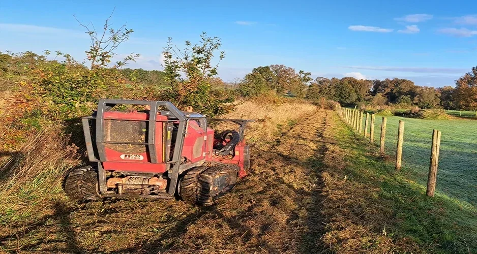 remise au propre de terrains SELO Elagage