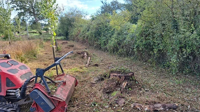 suppression de la vegetation pour recuperer les limites de propriete apres SELO ELAGAGE