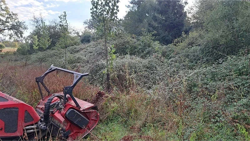 suppression de la vegetation pour recuperer les limites de propriete avant SELO ELAGAGE